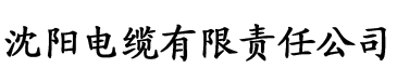 理论片在线aaaaa电缆厂logo